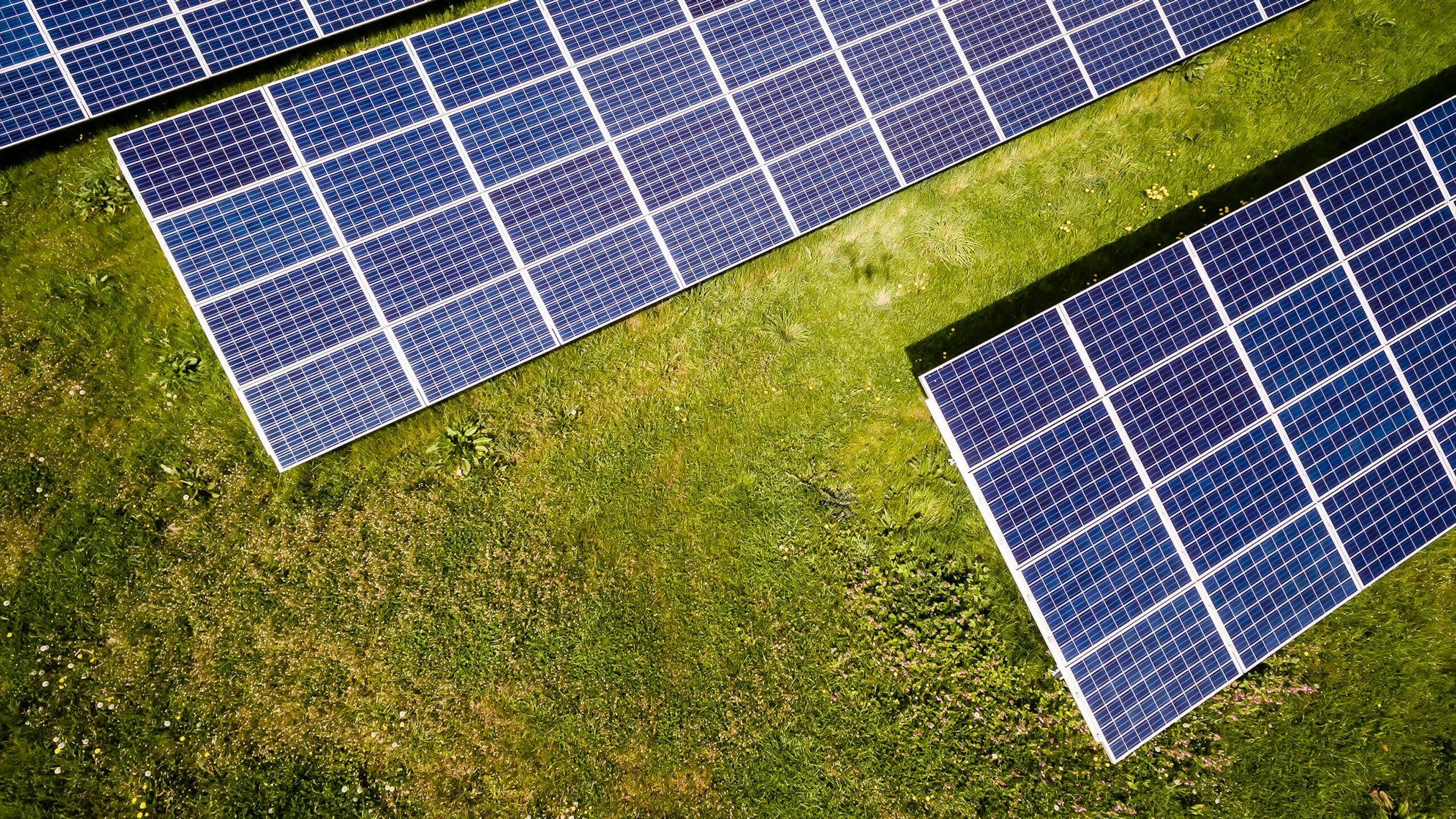 Commercial solar portfolio managed by ESCO showing multiple rooftop installations